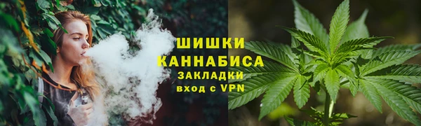 крисы Белокуриха